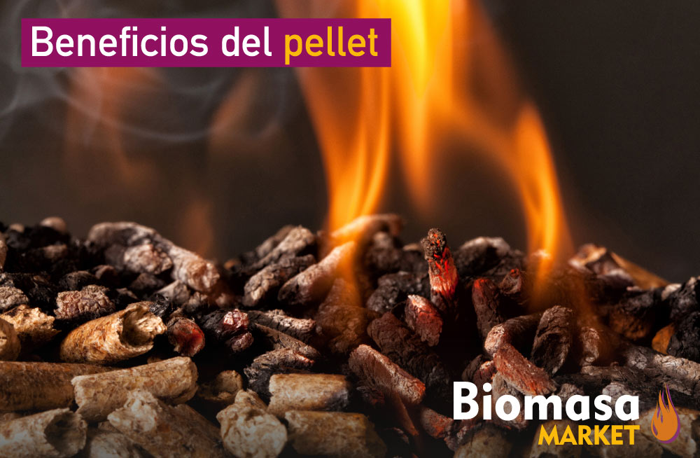 ¿Qué es y cuáles son los beneficios del pellet? Biomasa Market